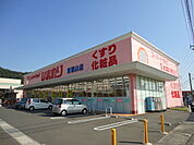 ひまわり東福山店（ドラッグストア）まで1、528ｍ