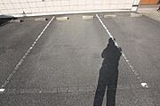 共有部分
