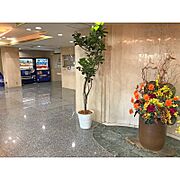 エントランスホール