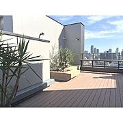 屋上