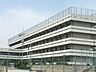 周辺：中学校 1100m 府中中学校