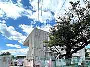 幼稚園・保育園 550m 河内保育園