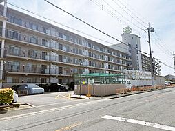 物件画像 藤井寺グリーンマンション　4階部分