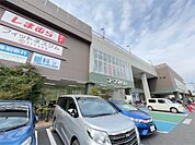 コープ　葛飾白鳥店（588m）