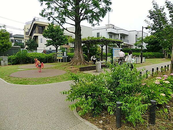 周辺を拡大表示