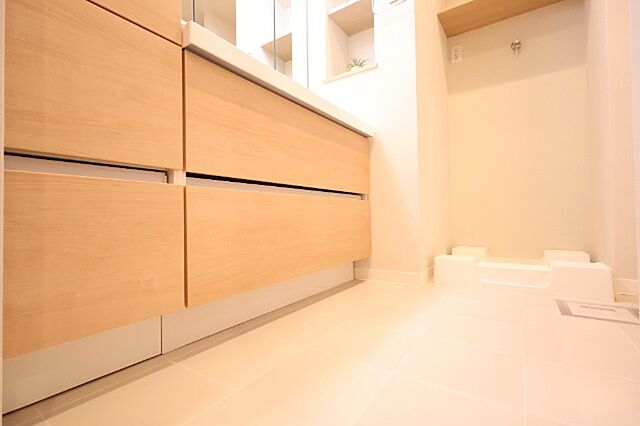 洗面 マイキャッスル大森町エクセレントステージ 13階/-