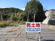 西側法部分の樹木