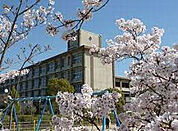 広野小学校