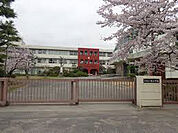 社小学校