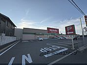 キリン堂　南花内店まで800メートル