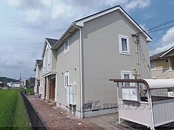 1 / 4