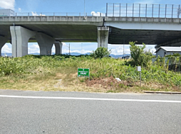 物件画像 天理市二階堂 売地