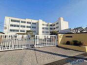 高槻市立丸橋小学校 810m