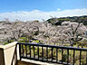 その他：春には南側バルコニーの特等席から満開の桜をご覧いただけますよ！