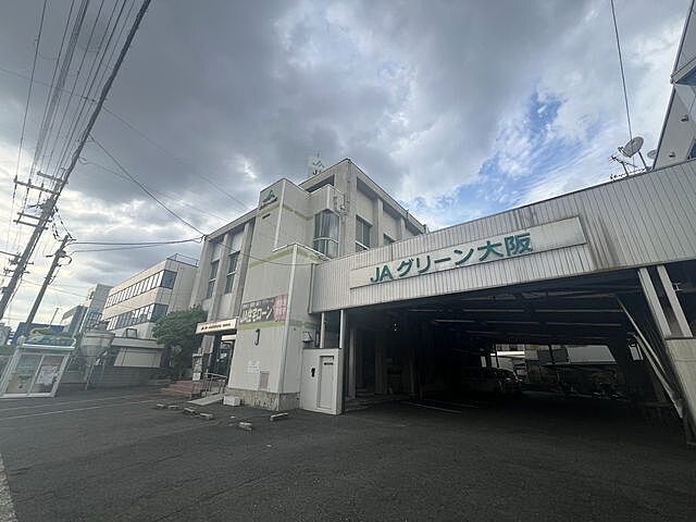 周辺 東大阪市御厨1丁目