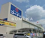 ホームセンターコーナン高柳店 1207m
