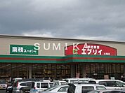 業務スーパーエブリイ大福店 592m