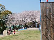 大元中央公園 1006m