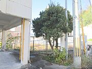 植栽