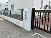 小信保育園【小信保育園】 1050m