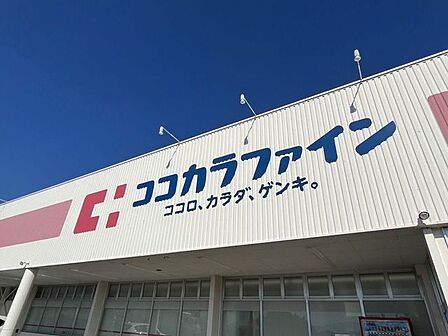 ココカラファイン 350m