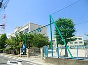 江北中学校 800m