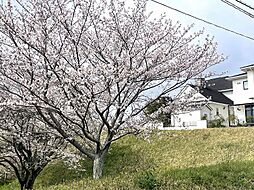 物件画像 鳥栖市弥生が丘6丁目 戸建