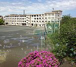 藤沢市立村岡小学校（287m）