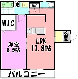 パフィオ湘南 1LDKの間取図画像