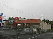 ユーコープ 萩園店（161m）
