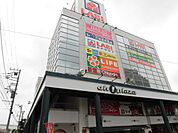 ライフ　大船店（1133m）