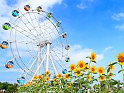 長井海の手公園ソレイユの丘まで車で12分　6.3km