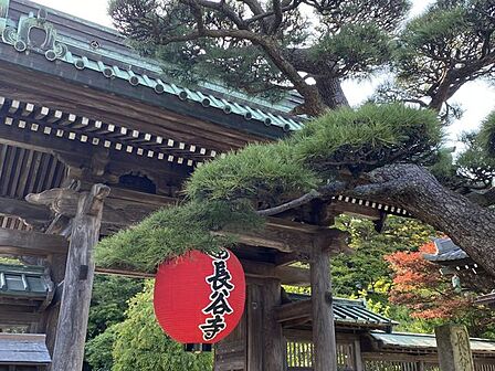 週末は足を伸ばして、四季の移ろいを感じながら鎌倉の街歩きを楽しむのもいいですね◎