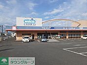 ウエルシア前橋天川大島店 徒歩5分。 390m