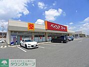 ベイシアマート太田富沢店 徒歩9分。 690m