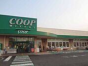 COOP　MIYAGI台原店 徒歩11分。 860m