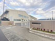 石巻市立住吉中学校 徒歩12分。 900m