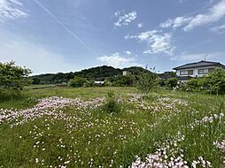 物件画像 美作市真加部　土地