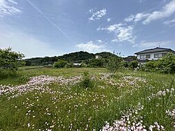 物件画像 美作市真加部　土地