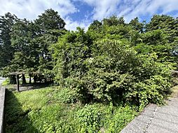 物件画像 杵築市大字日野　土地