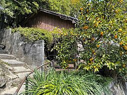 物件画像 北九州市八幡東区豊町　戸建て