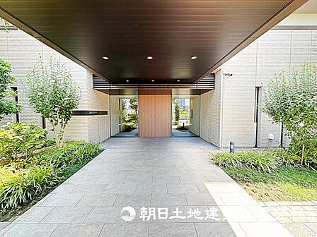 2026年7月10日に撮影したお写真です。