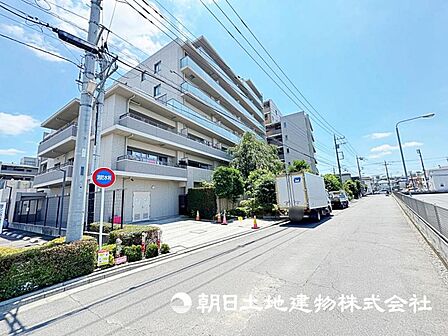 2026年7月10日に撮影したお写真です。