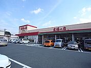 主婦の店 富塚店（467m）