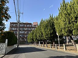 外観の画像