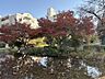 周辺：さくら公園 350m