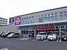 周辺：その他「おっ母さん食品館 北柏店まで950m」