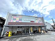フレスココレモ川田店