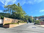私立京都橘大学 1790m