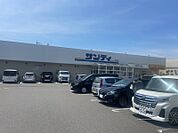 サンディ堺美原店（491m）